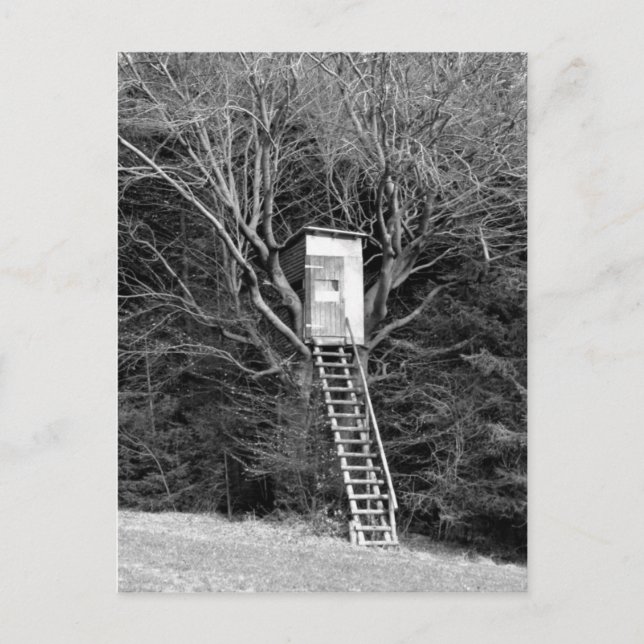 Hunter's Chair Postcard (Front)