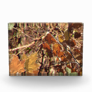 Hunter's Fall Nature Camo Camouflage Painting Acrylic Award