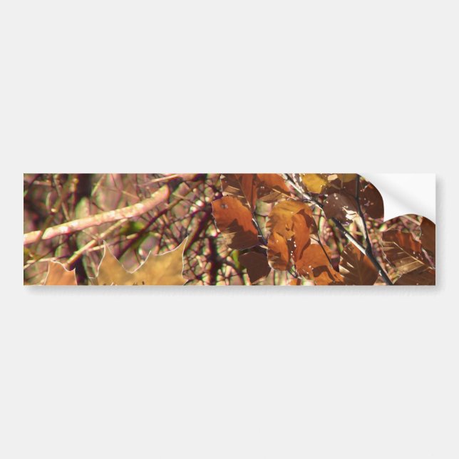 Hunter's Fall Nature Camouflage Painting Decor Bumper Sticker (Front)