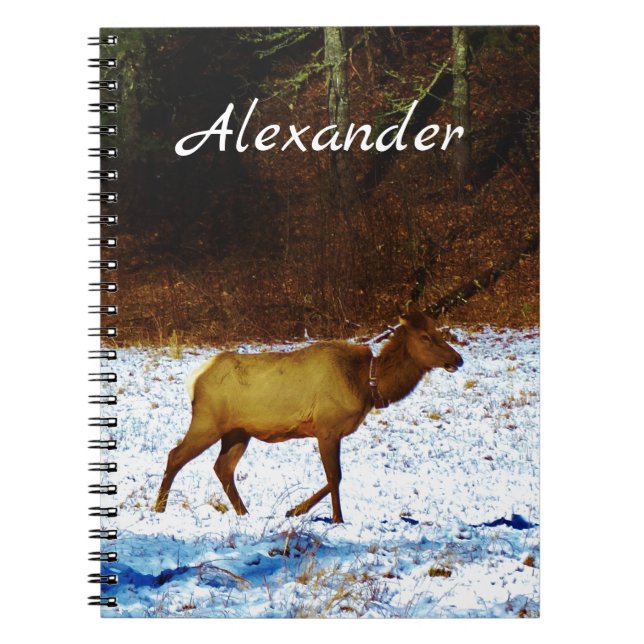 Hunters Gift Elk  in the snow Notebook (Front)