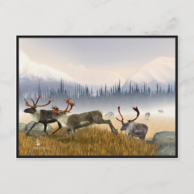 Hunters In The Mist (Caribou) Postcard (Front)