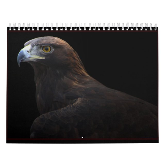 Hunters of the Sky 2014 calendar (Cover)