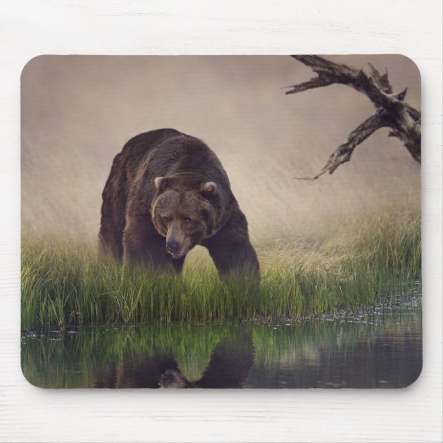 Hunting Brown Bear Mouse Pad (Front)
