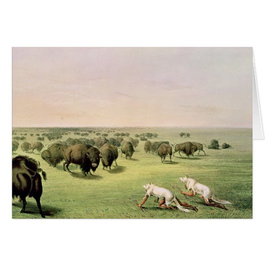 Hunting Buffalo Camouflaged Cards (Front Horizontal)