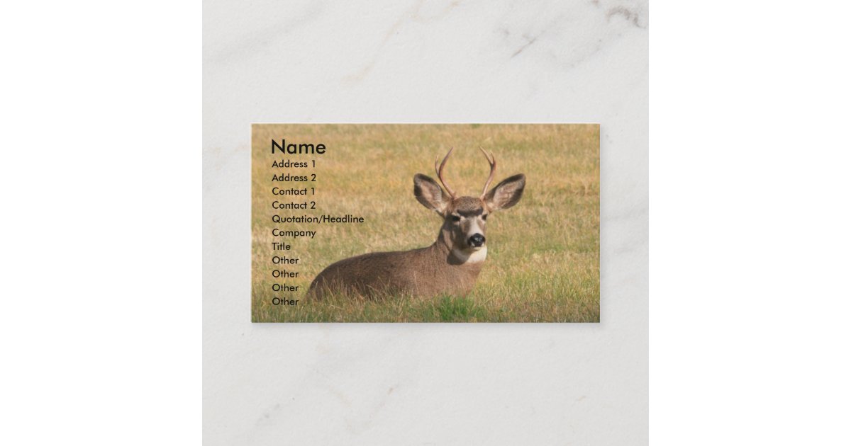 hunting Business Cards Zazzle