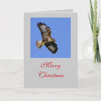 Hunting Buzzard Card
