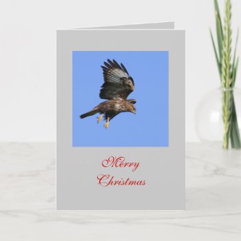 Hunting Buzzard Card by Welshpixels at Zazzle