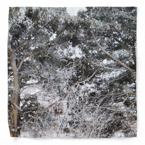 Hunting Camouflage Snow Pattern 4 Bandana