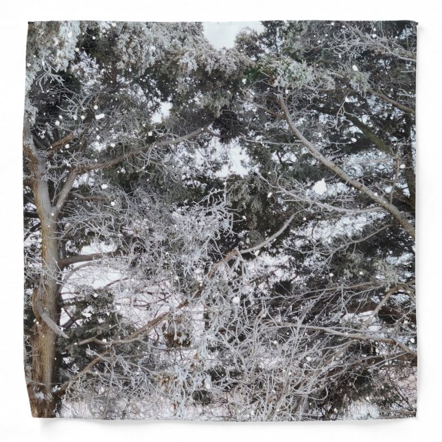 Hunting Camouflage Snow Pattern 4 Bandana (Front)