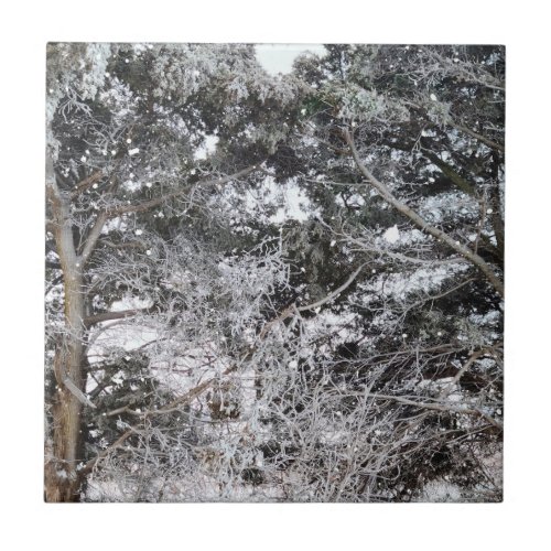 Hunting Camouflage Snow Pattern 4 Ceramic Tile