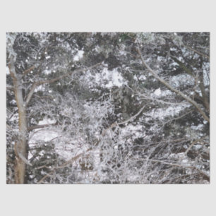 Hunting Camouflage Snow Pattern 4 Tissue Paper
