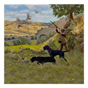 Hunting Chukar partridge Poster