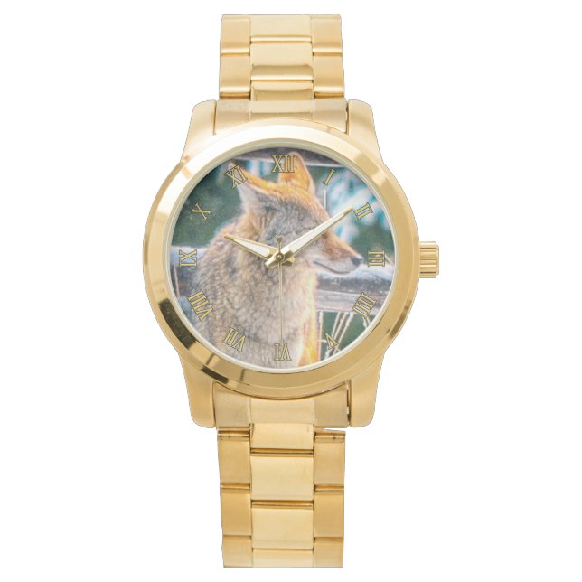 Hunting Coyote and Winter Snow Wildlife Watch (Front)
