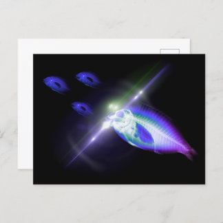 Hunting Dinner X-Ray Fish 3 Postcard