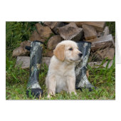 Hunting Dog (Front Horizontal)