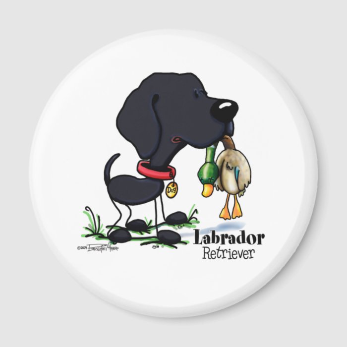 Hunting Dog   Black Labrador Retriever magnet