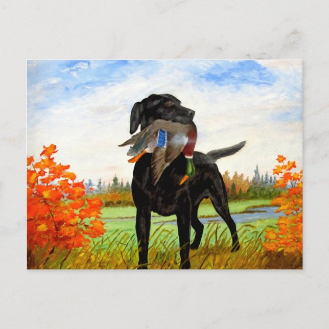 Hunting Dog Painting Postcard (Front)