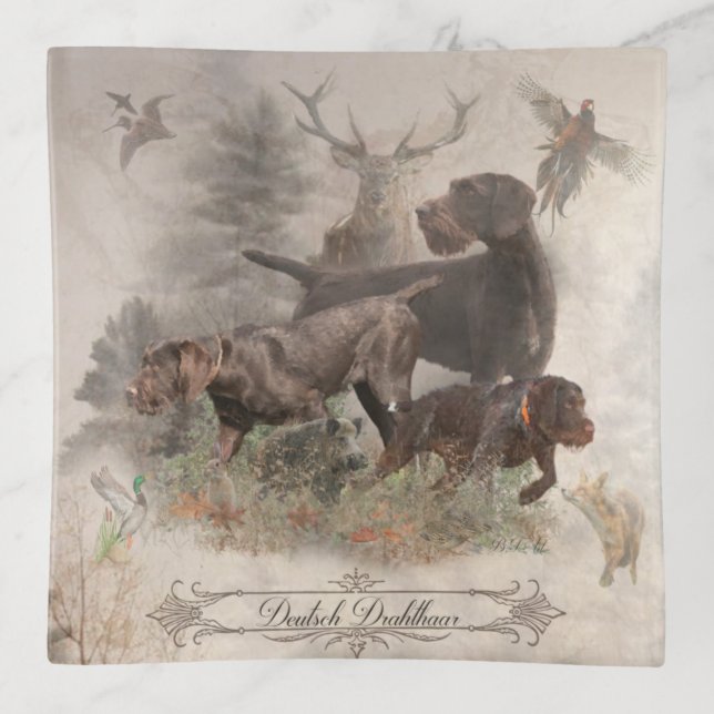 Hunting dogs, Deutsch Drahthaar  Trinket Tray (Front)