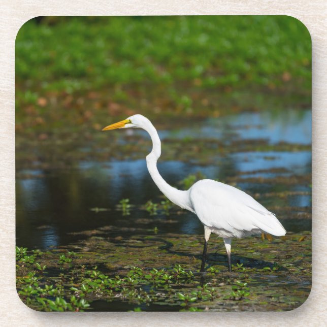 Hunting Egret Beverage Coaster (Front)