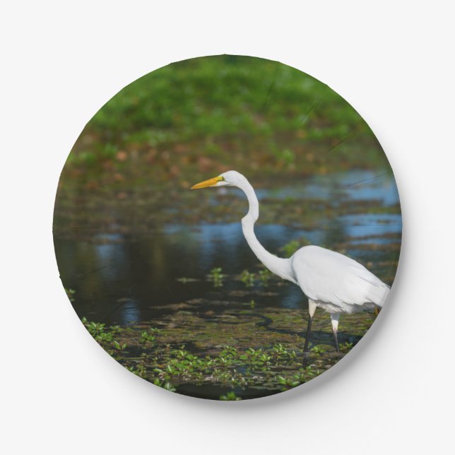 Hunting Egret Paper Plates (Front)