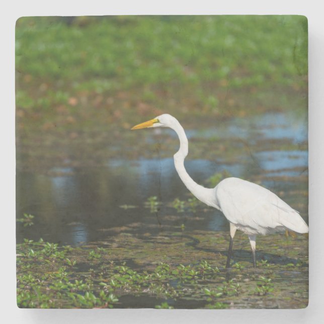 Hunting Egret Stone Coaster (Front)
