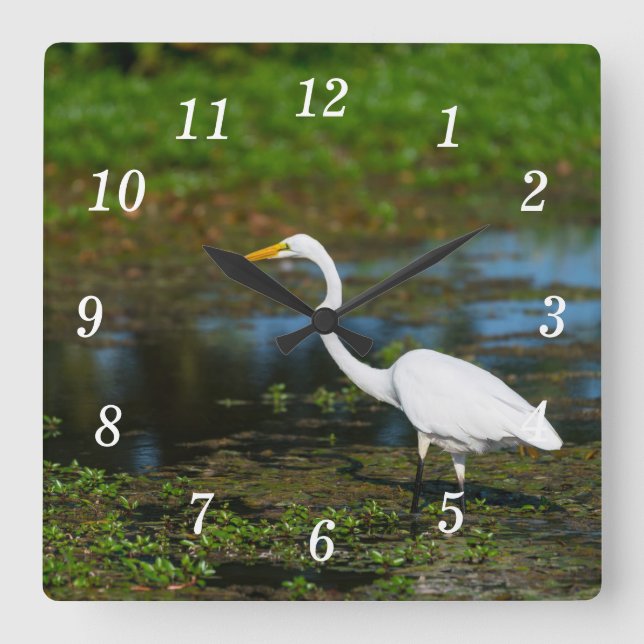 Hunting Egret Wall Clock (Front)