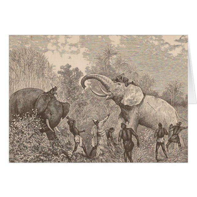 Hunting Elephants Cards (Front Horizontal)