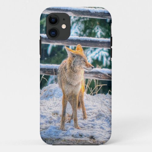 Hunting Female Coyote and Snow Wildlife Photo Art iPhone 11 Case