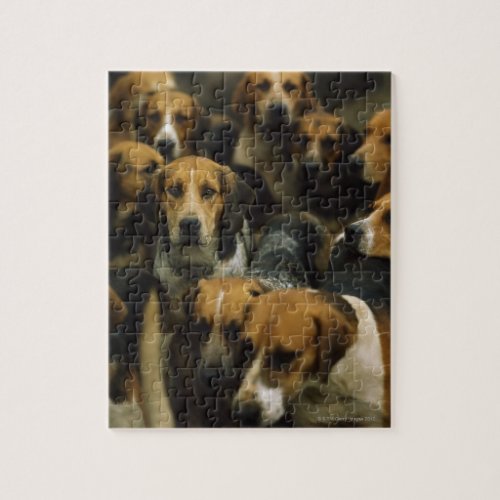 Hunting foxhounds Galway Blazers Ireland Jigsaw Puzzle