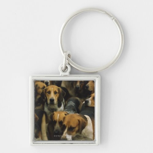 Hunting foxhounds Galway Blazers Ireland Keychain