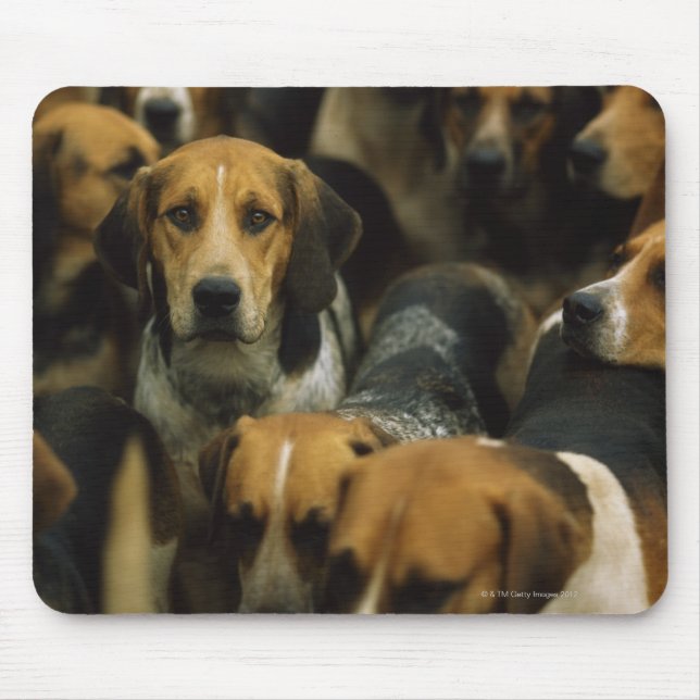 Hunting foxhounds, Galway Blazers, Ireland Mouse Pad (Front)