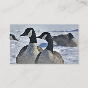 Hunting Guide Canada Geese Winter Outdoors Business Card