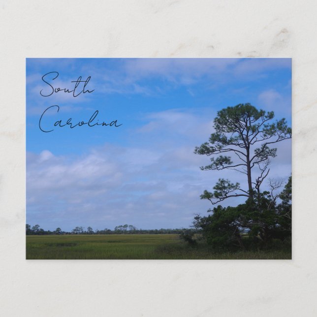 Hunting Island Marsh Postcard (Front)