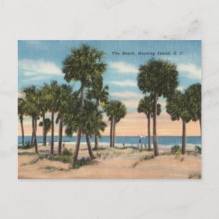 Hunting Island, South Carolina Postcard