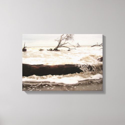 Hunting Island State Park Canvas Print