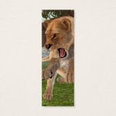 Hunting Lioness (Back)