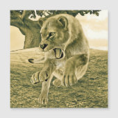 Hunting Lioness (Front)