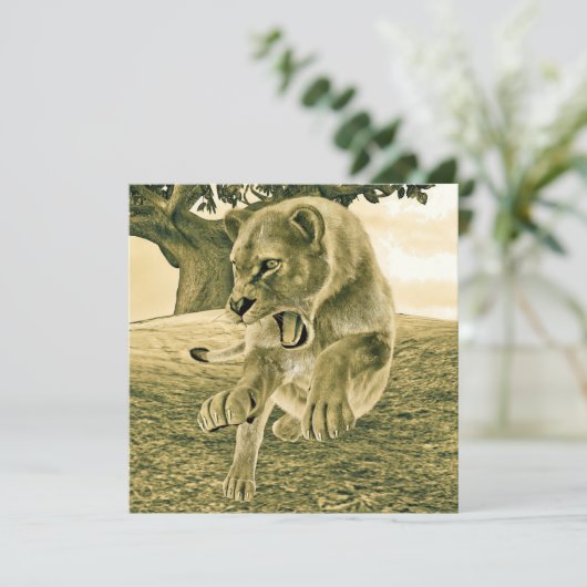 Hunting Lioness (Standing Front)