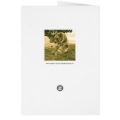 Hunting Lioness Cards (Back)