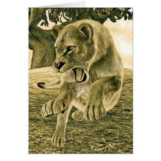 Hunting Lioness Cards (Front)