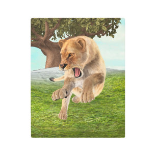 Hunting Lioness Metal Print