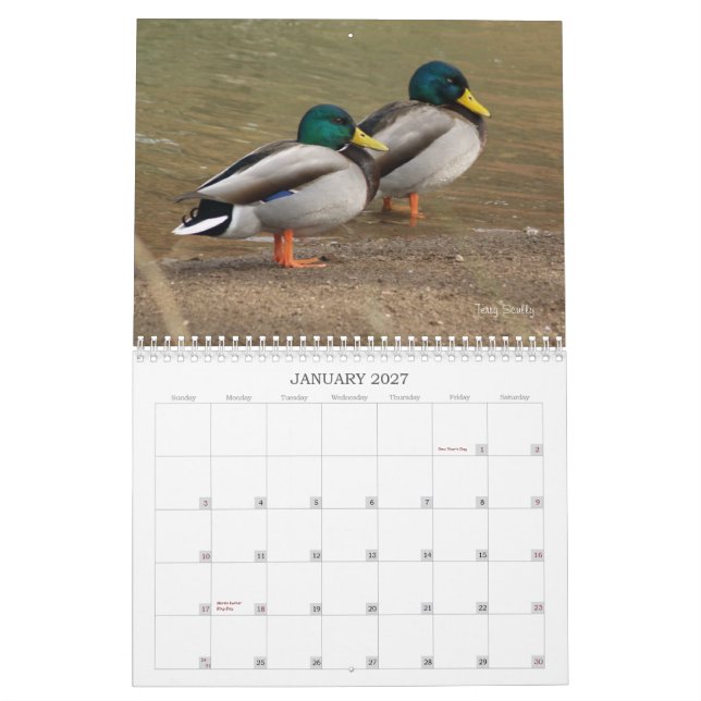 Hunting Mallard Ducks Calendar (Jan 2027)