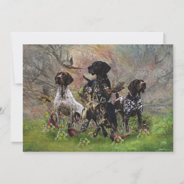 Hunting pheasant  with GSP   Invitation (Front)