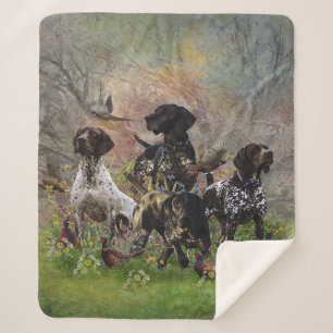Hunting pheasant with GSP Sherpa Blanket