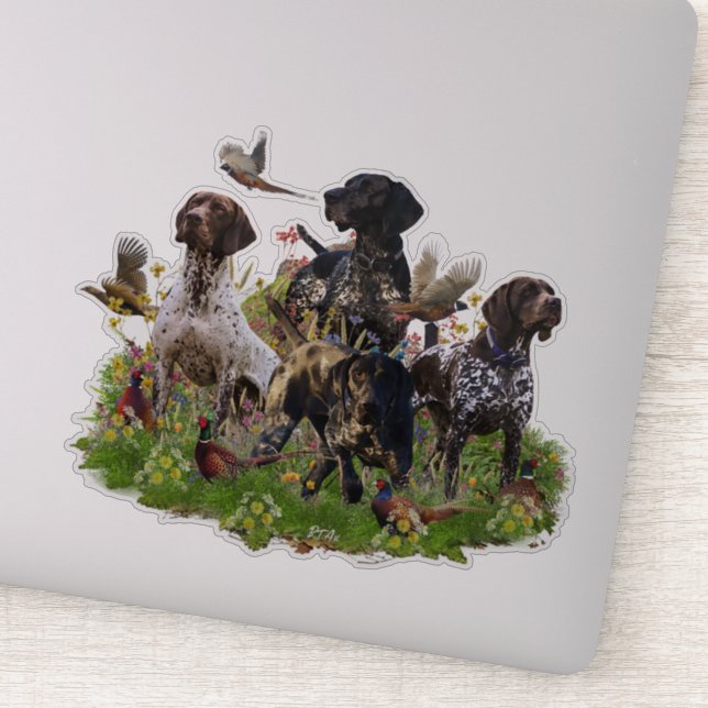 Hunting pheasant  with GSP  sticker (Detail)