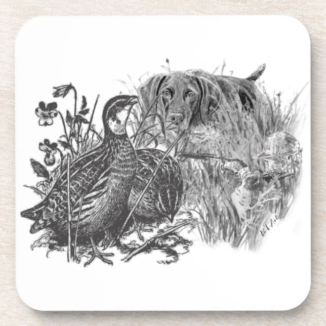 Hunting  quail with hunting dog   beverage coaster (Front)