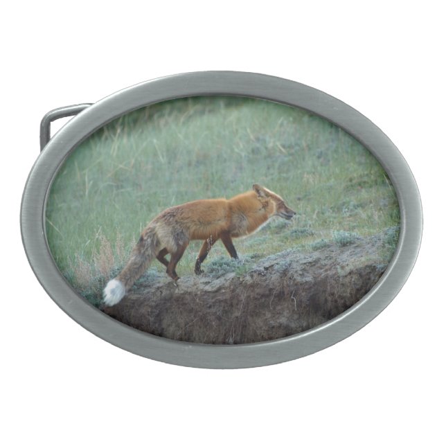Hunting Red Fox Wildlife Photo Belt Buckle (Front)