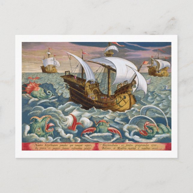 Hunting Sea Creatures, plate 84 from 'Venationes F Postcard (Front)