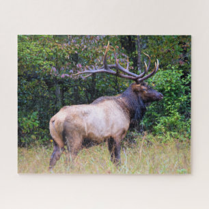 Hunting Season - Bull Elk - 16x20 inch Jigsaw Puzzle