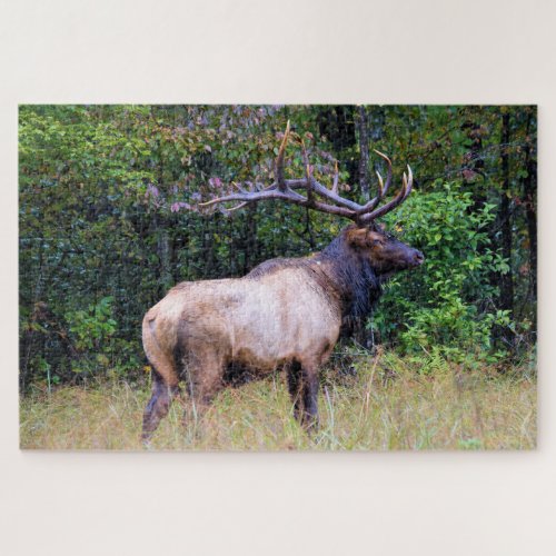 Hunting Season _ Bull Elk _ 20x30 inch Jigsaw Puzzle